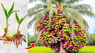 20 Most Unique Fruits Youve Never Heard Of [upl. by Sharia]