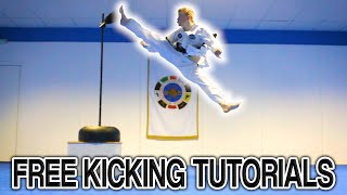 Taekwondo Kicking Tutorials Promo Ginger Ninja Trickster  How to Videos [upl. by Ahsrav]