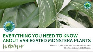 Everything You Need To Know About Variegated Monstera Plants Webinar  Houseplant Resource Center [upl. by Siol485]