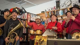 Fanfare Ciocarlia NPR Music Tiny Desk Concert [upl. by Nnagrom]