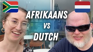 Speaking both Dutch amp Afrikaans with Richard Simcott 🇿🇦🇳🇱 [upl. by Eachelle]