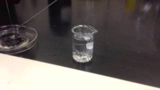 Water Miscibility Test and Solidification  Part 1 [upl. by Dorina690]