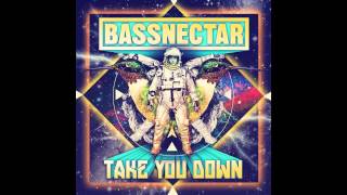 Bassnectar  Take You Down Special Edit [upl. by Anaujait627]