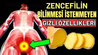 Zencefilin İlaç Sektörünün Gizlemek İstediği 7 Olağanüstü Etkisi [upl. by Nicoli25]