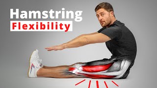 The Science of Hamstring Flexibility – Anatomy amp Training Techniques [upl. by Adiv]