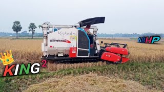 Kubota Harvester King 2 working Field  New Harvester High Speed Cutting [upl. by Pasol]