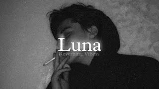 Luna Slowed  Reverbed  Diljit dosanjh [upl. by Claribel]