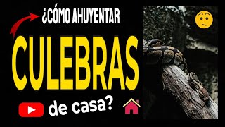 🔴 Cómo AHUYENTAR las CULEBRAS de Tu Casa 7 Remedios Caseros Efectivos [upl. by Hook]