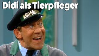 Dieter Hallervorden  Didi als Tierpfleger [upl. by Rene]