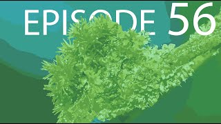 Episode 56  Bryophytes [upl. by Aihsiym]