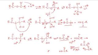 Carboxylic Acid Derivatives Reactions Part 1 [upl. by Graham]