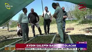 AYDIN SALEPİN BAŞKENTİ OLACAK [upl. by Eartha]