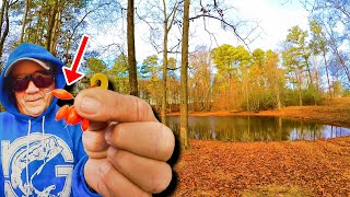 Easy Way To Catch Dinner From A Pond Bluegill Fishing Worm amp Bobber [upl. by Arriat611]