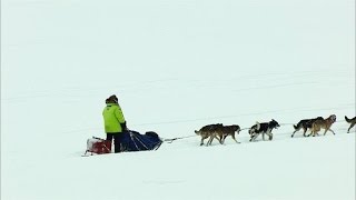 How a Diphtheria Outbreak Spawned the Iditarod [upl. by Polad668]