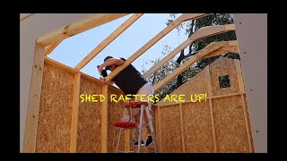 YARDLINE STIRLING SHED RAFTERS Pt 7 of Build [upl. by Ahsitil]