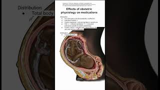 Effects of obstetric physiology on medication metabolism [upl. by Skelly]