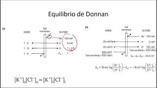 Equilibrio de Gibbs Donnan [upl. by Caassi]