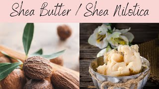 Shea Western amp Nilotica Butter Cosmetic Profile What Is Its Secret to Anti Ageing We Now Know [upl. by Bobina]