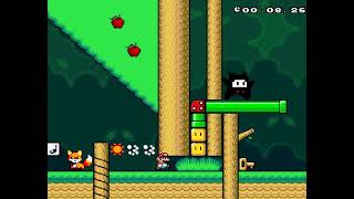 TAS SMW Ninji Season 5 Level 2 2758s [upl. by Enel116]