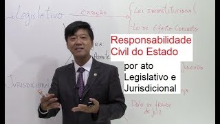 Responsabilidade Civil do Estado Legislativo e JurisdicionalAula 146 Tanaka D Administrativo [upl. by Limann]