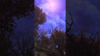 windy forest at night in west virginia fallout76 lofi gaming [upl. by Etteyafal]