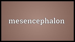 Mesencephalon Meaning [upl. by Linnet613]