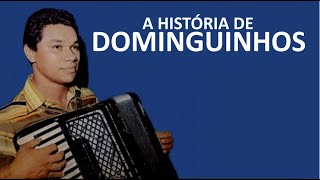 A HISTÓRIA DE DOMINGUINHOS [upl. by Nance744]