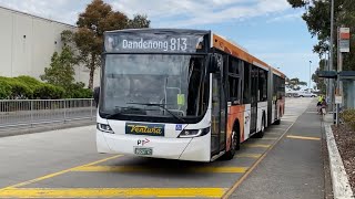 Ventura buses at Waverley Gardens [upl. by Wendelin]