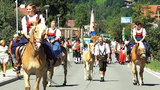 Kein Talfest ohne Haflinger [upl. by Elrebmik425]