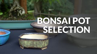 Selecting the right Bonsai Pot [upl. by Ignatia]