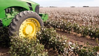 How Cotton Is Farmed  Georgia Cotton [upl. by Dorolice]