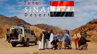 Into Sinai Desert  Egypt [upl. by Auhsoj]