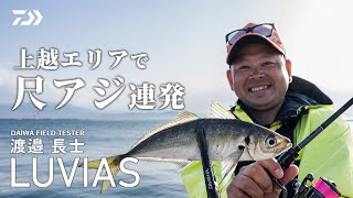 アジング 24LUVIAS 実釣インプレッション in 新潟 渡邊長士 [upl. by Niarda]