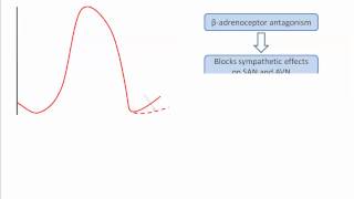 Class II antiarrhythmics [upl. by Aninnaig]