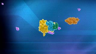 Ubiquitin Mediated Protein Degradation Explanation by Aaron Ciechanover [upl. by Atikam926]