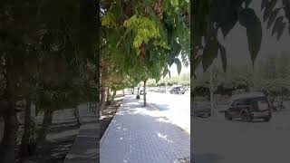 Walking Around Amman Jordan explore ASMR [upl. by Ulric500]