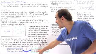 Osmosis Osmotic Pressure and Hydrostatic Pressure [upl. by Burnie992]