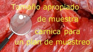 Como tener un buen plan de muestreo de carnicos Primer paso Tamaño apropiado de muestra carnica [upl. by Rebane]