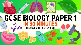 All of GCSE BIOLOGY Paper 1 in 30 minutes  The GCSE Science Teacher [upl. by Elladine]