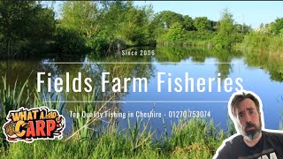 FIELD FARM FISHERIES  SANDBACH  CREWE [upl. by Raf]