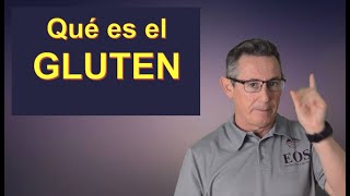 ¿QUÉ ES EL GLUTEN [upl. by Kannry438]