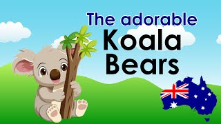 Meet The Koalas A Kids Guide To These Adorable Marsupials  BlackStrawscom [upl. by Danila]