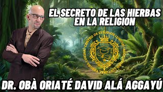 El Secreto De Las Hierbas En La Religión [upl. by Nosiaj]