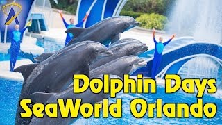 Dolphins play with music full show at Hakkeijima sea paradise [upl. by Jaquiss820]