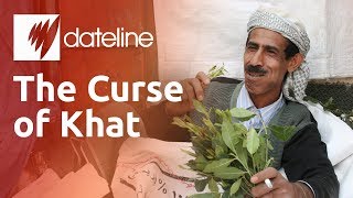 Khat Yemens Addictive Narcotic Chewing Leaf [upl. by Aicella11]