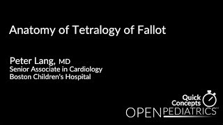 Anatomy of Tetralogy of Fallot by P Lang  OPENPediatrics [upl. by Ilat]