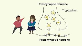 How Zoloft Sertraline Works [upl. by Mazur]