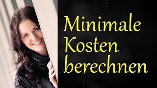 Minimale Kosten berechnen [upl. by Jazmin]