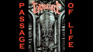 Excruciate  Passage of Life 1993 HQ FULL ALBUM [upl. by Oatis]