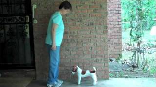 Teaching a dog to back up without using body pressure [upl. by Adnolor]